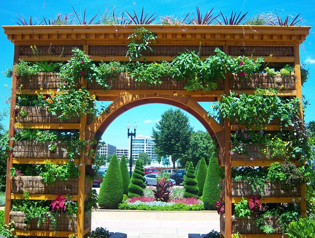 Free Washington Botanical Garden photo and picture