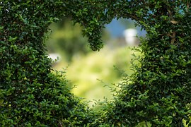 Heart, Herzchen, Love, Romance