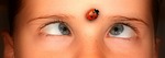 eyes, squint, human