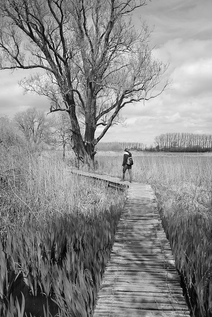 Free Nature The Blanckaert photo and picture