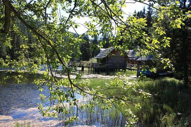 Free Alpine Lake Nature photo and picture