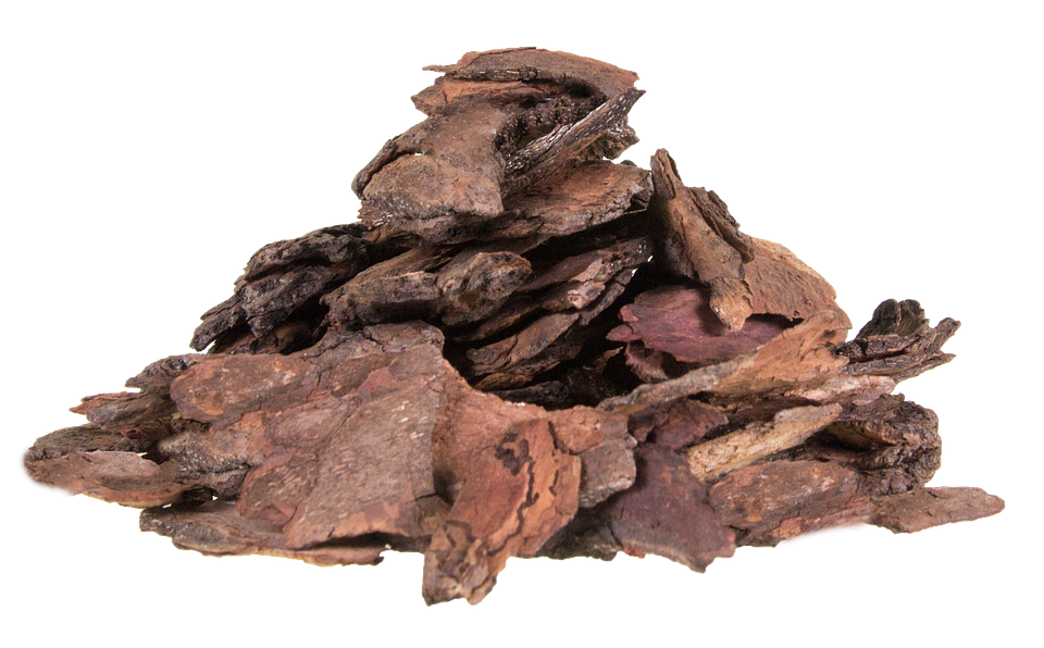 Bark Compost Forest Terreaux · Free image on Pixabay