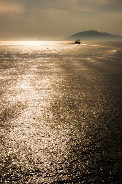 Guld, Ocean, Glow, Skumring, Solnedgang