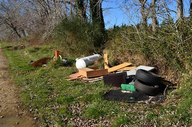 Vild Dump, Sti, Grube, Landskab