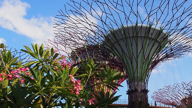 Free Singapore Marina Bay photo and picture