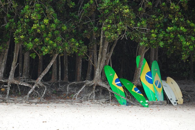 Surfa, Strand, Lopes Mendes, Styrelse