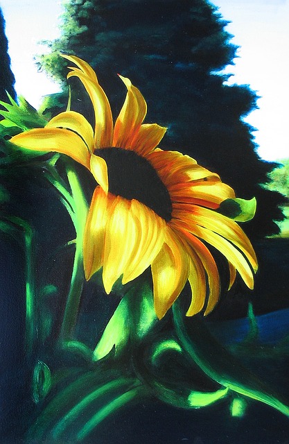 Tekening, Zonnebloem, Ochtend, Zomer