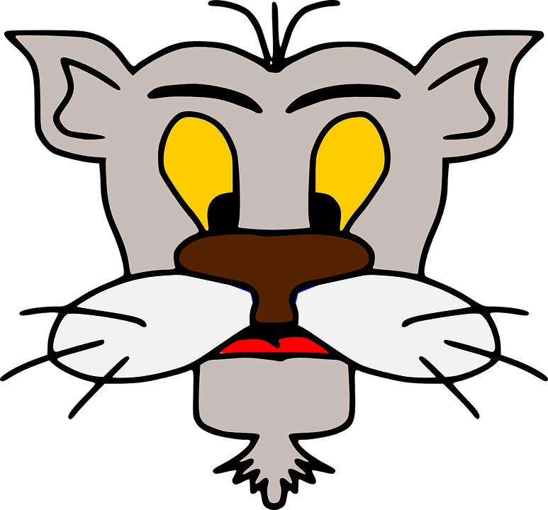 Skupina mačička obrázky