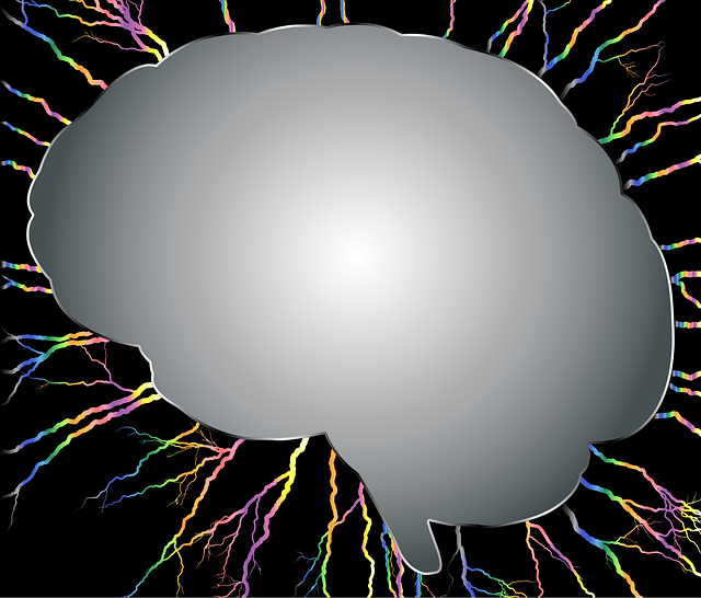 Free brain head skull vector