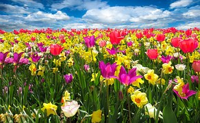 Spring Awakening, Spring