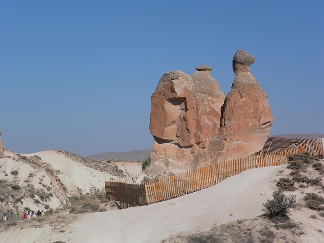 Turkey Cappadocia Camel Fairy - Free photo on Pixabay - Pixabay