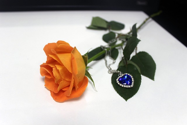 Free Orange Rose Necklace photo and picture