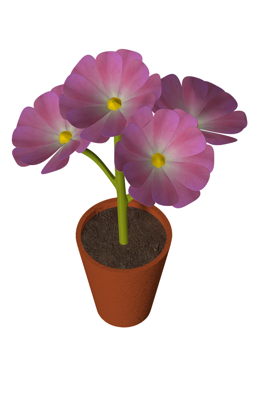 Blume, Blumentopf, Dekoration, Natur