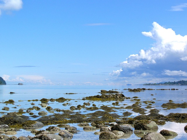 Free Salish Sea Thunder Cloud photo and picture