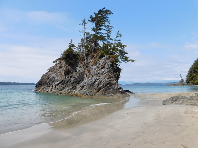 Free Brady'S Beach Coast photo and picture