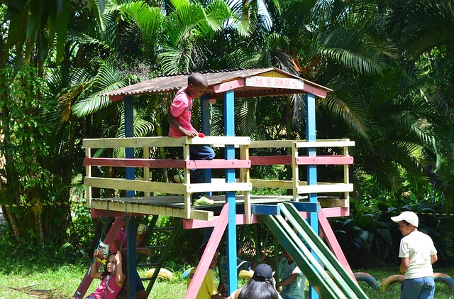 Free Child Playing Kid photo and picture