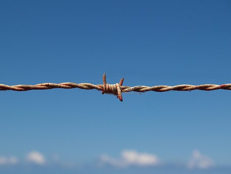 Stacheldraht, Flüchtlinge, Grenze, Zaun