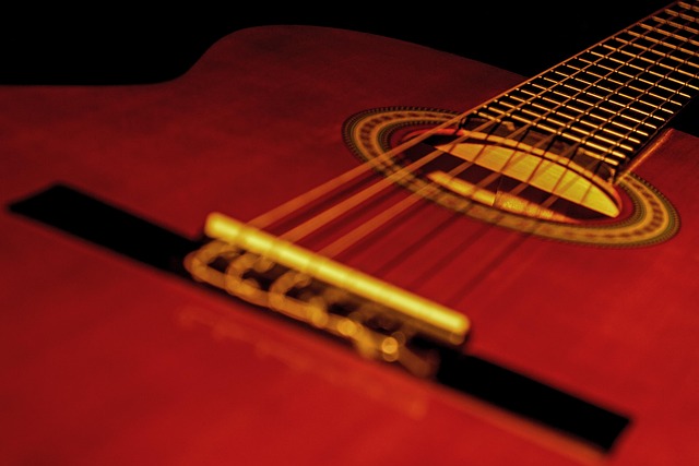 Free Guitar Instrument photo and picture