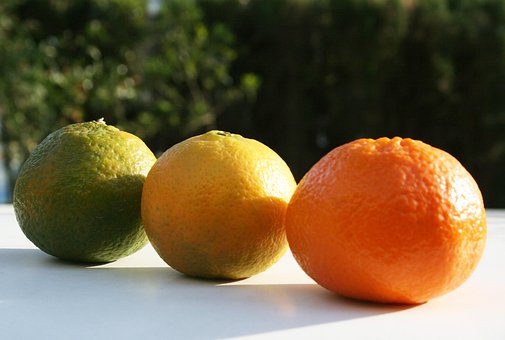 Free Fruit Orange photo and picture