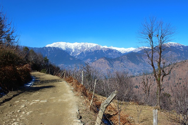 Free Landscape Snow photo and picture