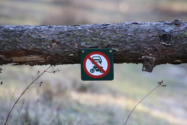 Free Sign Prohibition photo and picture