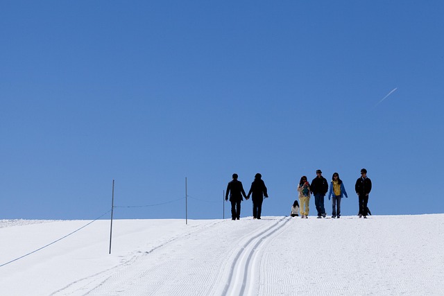 Sne, Landskab, Mennesker, Vinter, Hvid