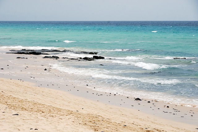 Free Ocean Summer photo and picture