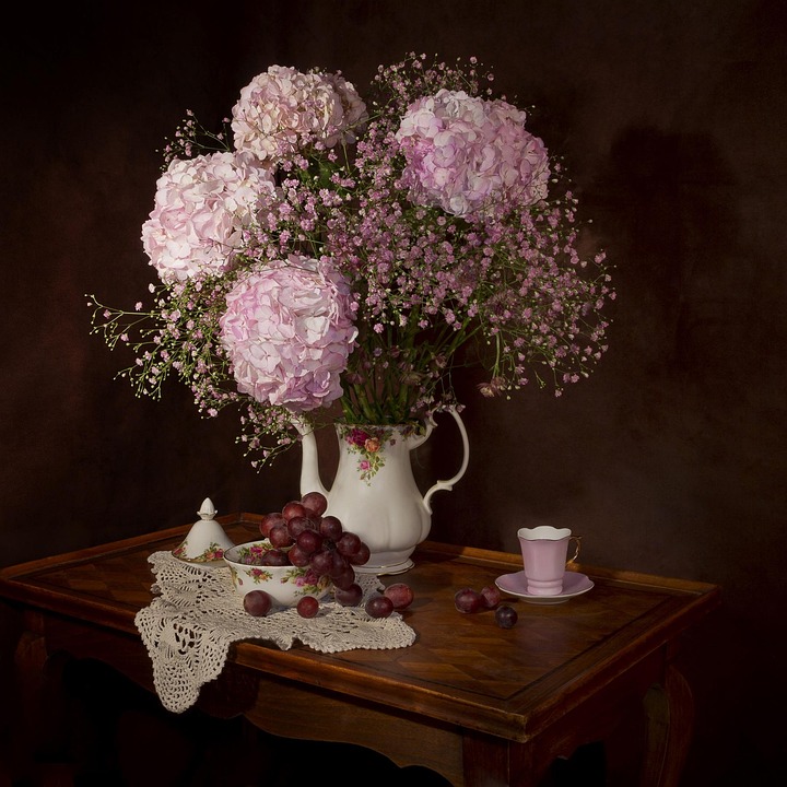 nature morte fleurs hortensia bouquet floraison