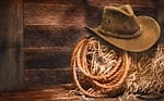 lasso, hat, hay