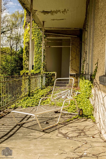 Free Dilapidated Lost Place photo and picture