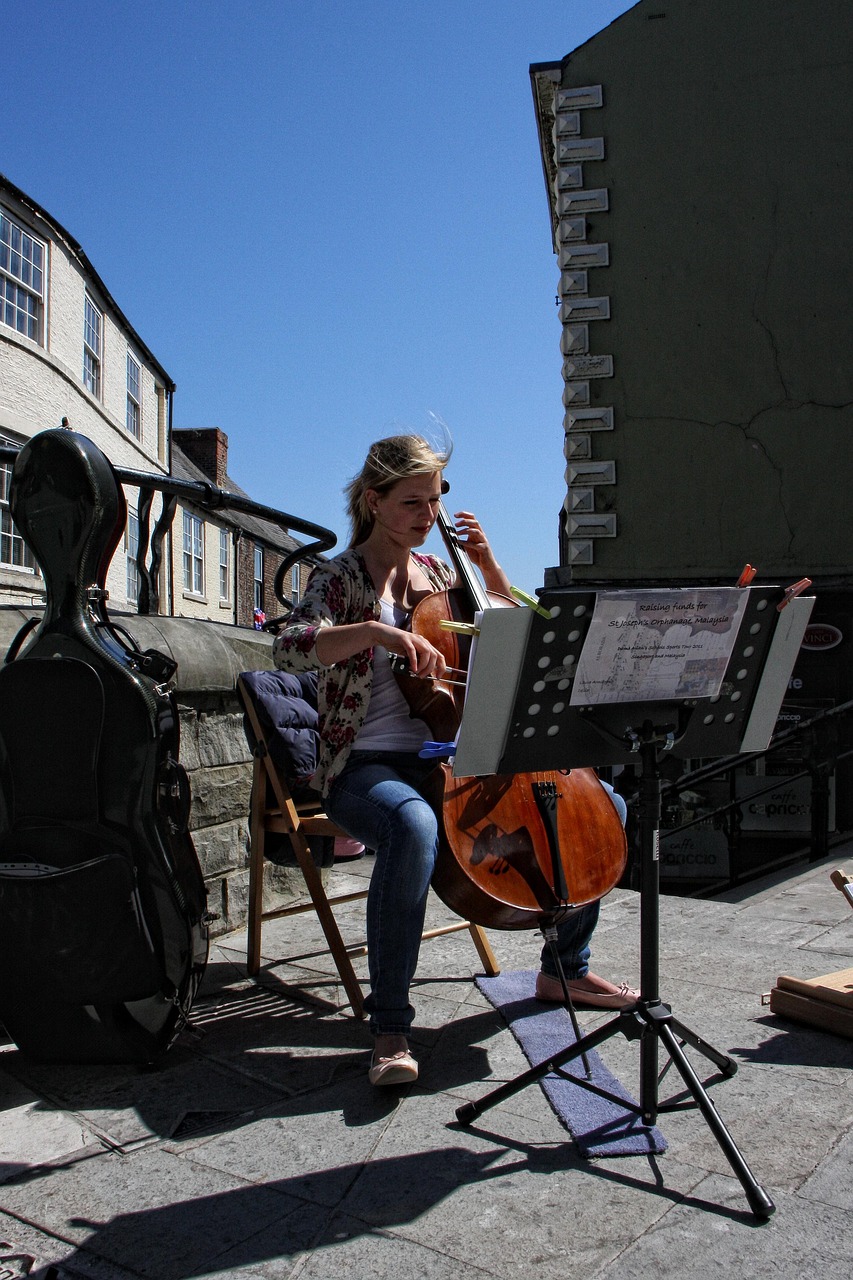 Street Entertainer Busker - Free photo on Pixabay - Pixabay