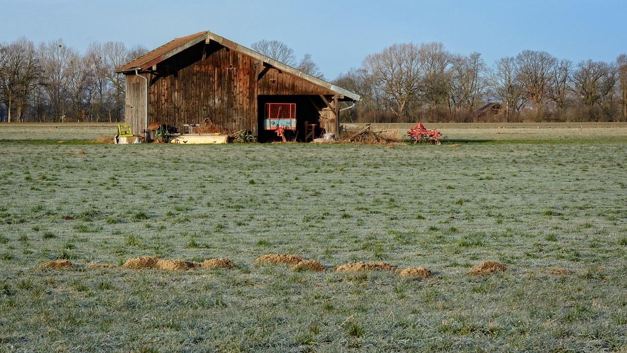 Barn - free online jigsaw puzzle photo