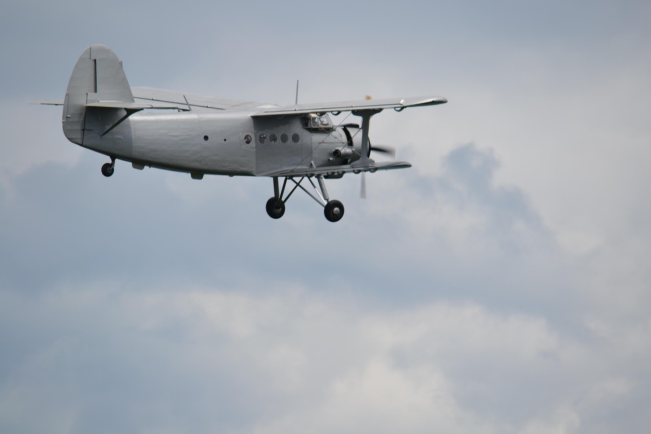 Antonov - free online jigsaw puzzle photo