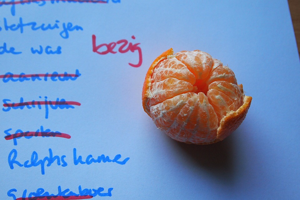 Lijst, Papier, To Do, Pauze, Vitamine, Fruit, Mandarijn