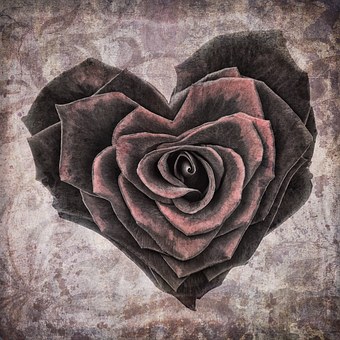 Free Heart Nature illustration and picture