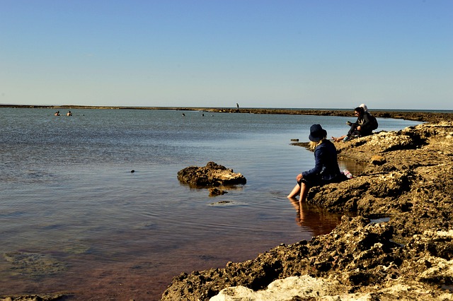 Free Woman Shore photo and picture