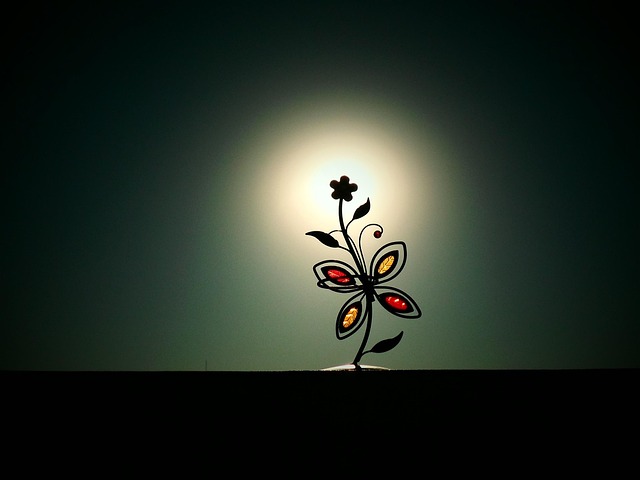 Free Sun Nature photo and picture