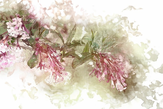 Free flower nature mood illustration