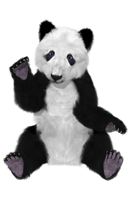 Free panda china bear illustration