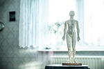 osteopathy, acupuncture, wellness