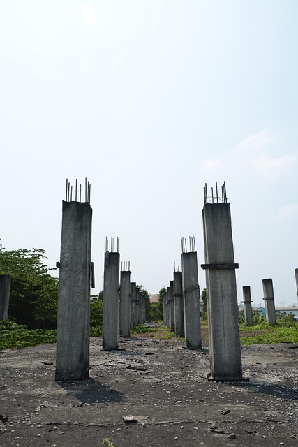 Free Construction Carcass photo and picture