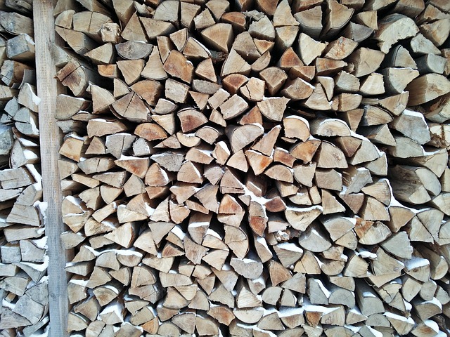 Free Firewood Fail photo and picture