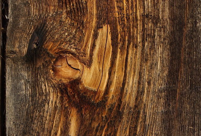 Free Wood Board photo and picture