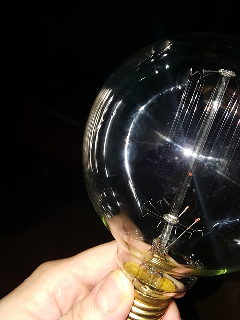 Free Vintage Lightbulb photo and picture
