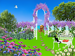 garden, flowers, nature