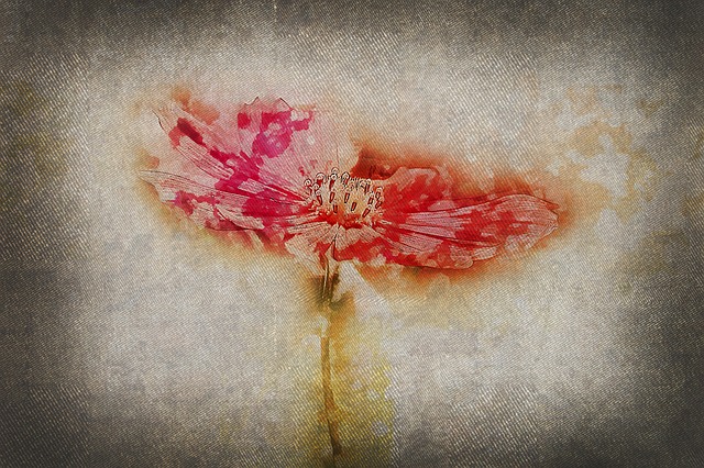 Free background wallpaper flower illustration