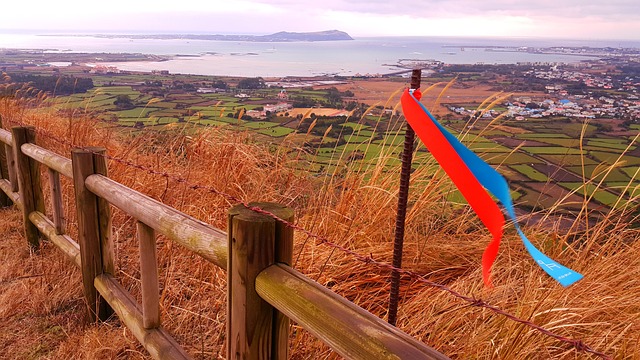 Free Jeju Olleh photo and picture