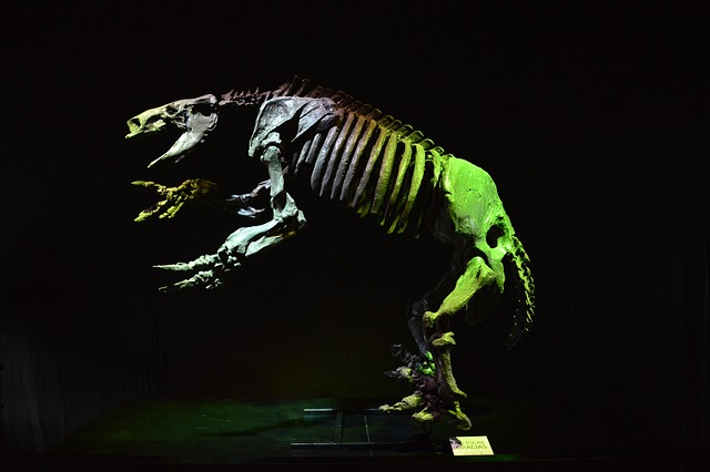 Free Dinosaur Replica photo and picture