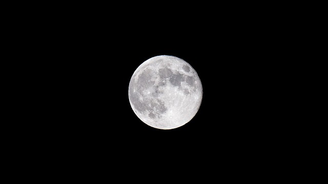 Free Moon Night photo and picture