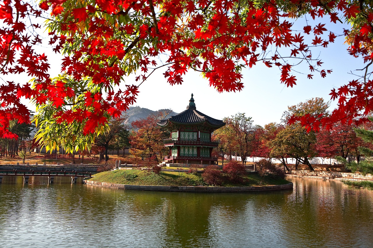 가평 아침고요수목원 단풍 시기 2026, 절정은 언제? 입장료&middot;주차 총정리